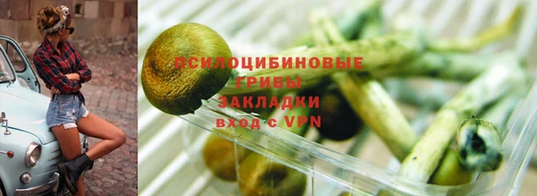 ешки Абаза